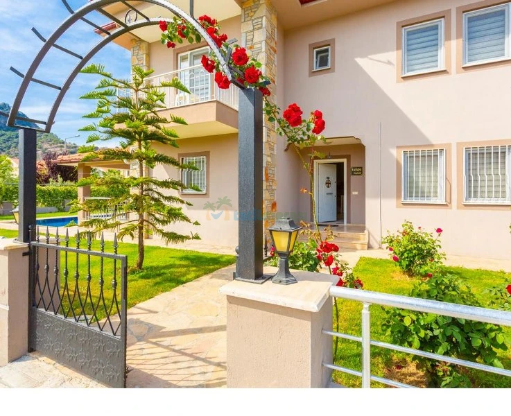 Dış Görünüm