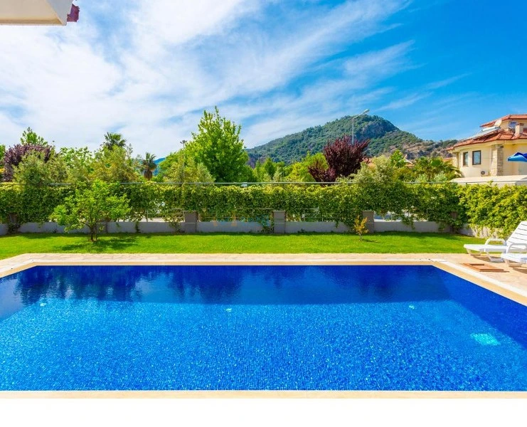 Dış Görünüm