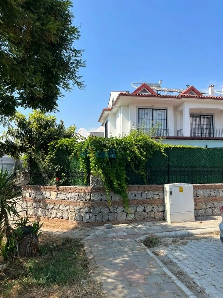 Dış Görünüm