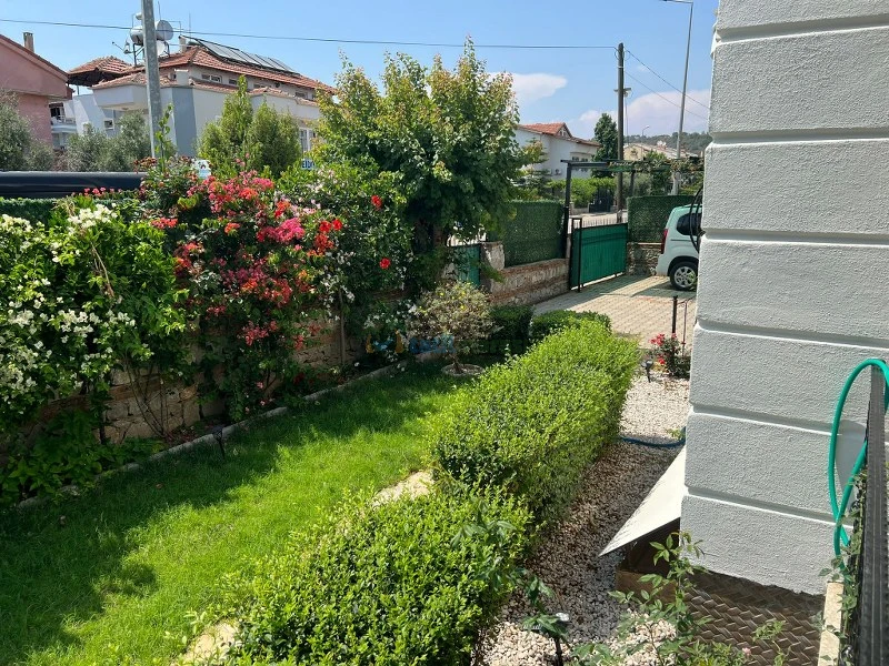 Dış Görünüm