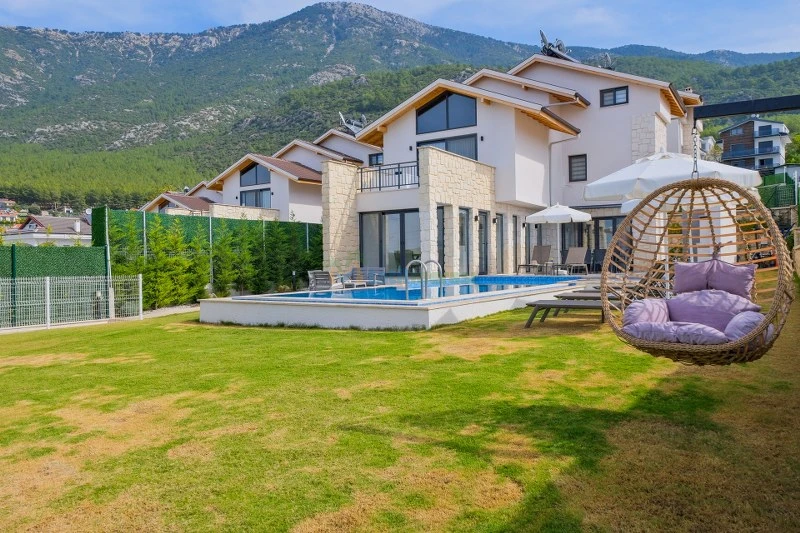 Dış Görünüm