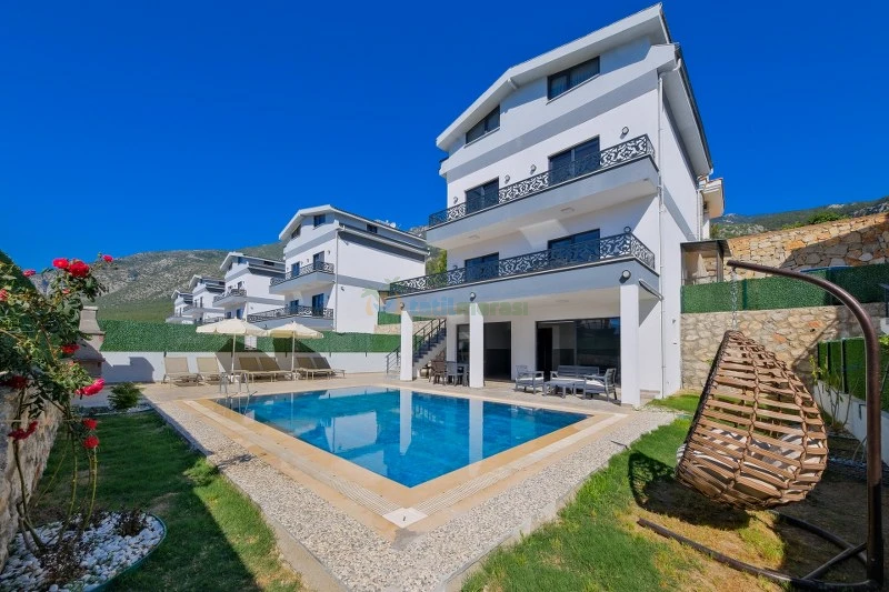 Dış Görünüm