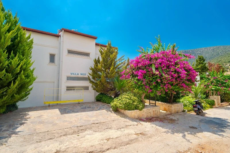 Dış Görünüm